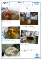 2019aomori19.jpg
